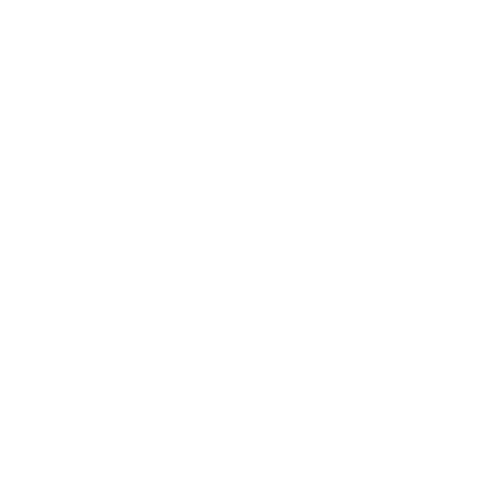 High Budget